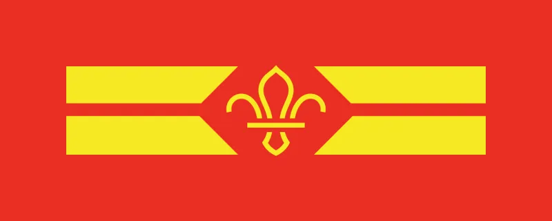 Cub Sixer Badge and Top Tips Leaflet x 1 of Each